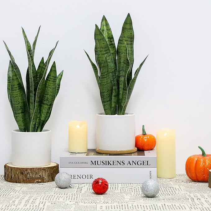Faux Plants, Artificial Snake Plant Set of 2, Faux Snake Plant with Pure White Ceramic Pots, Fake Sansevieria for Home Decor Indoor, Office, Living Room, Housewarming Gifts