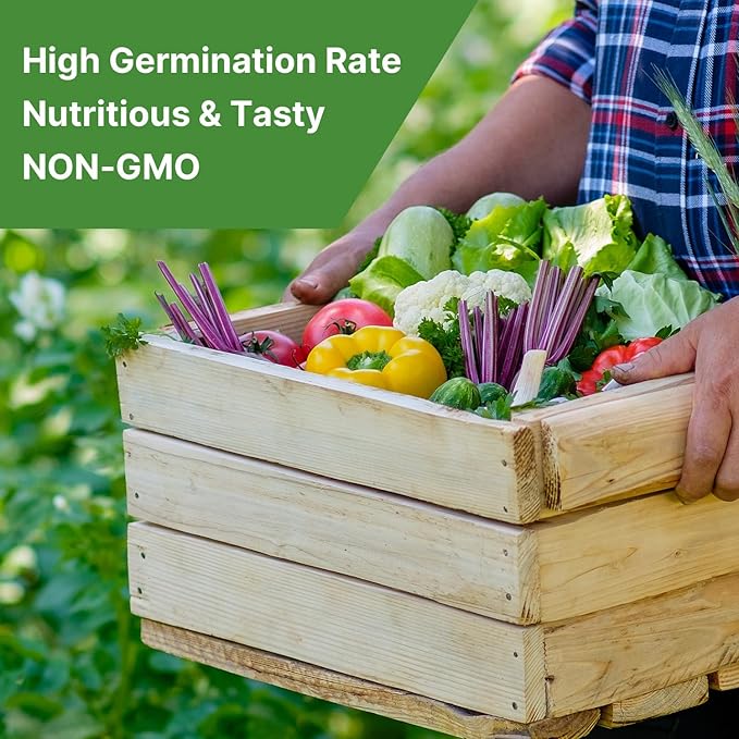 Luffa Gourd Seeds, 40 Non-GMO Heirloom Vegetable Seed, Planting for Outdoor Garden