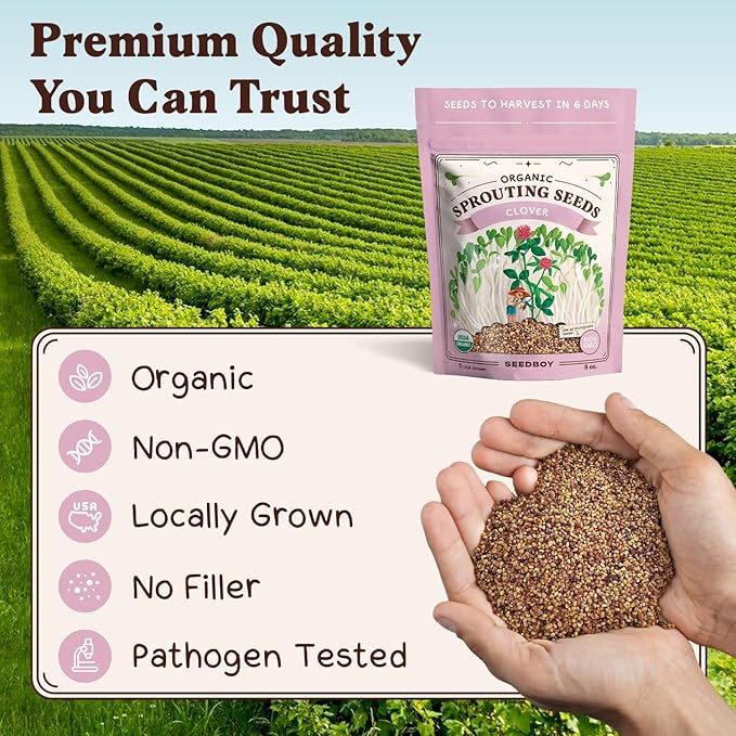 Seedboy Organic Clover Seeds for Sprouting - Non-GMO, USA Grown Microgreens Sprouting Seeds Mix - Makes 8 Quarts of Sprouts, 24 Servings (8 oz) (Red Clover)