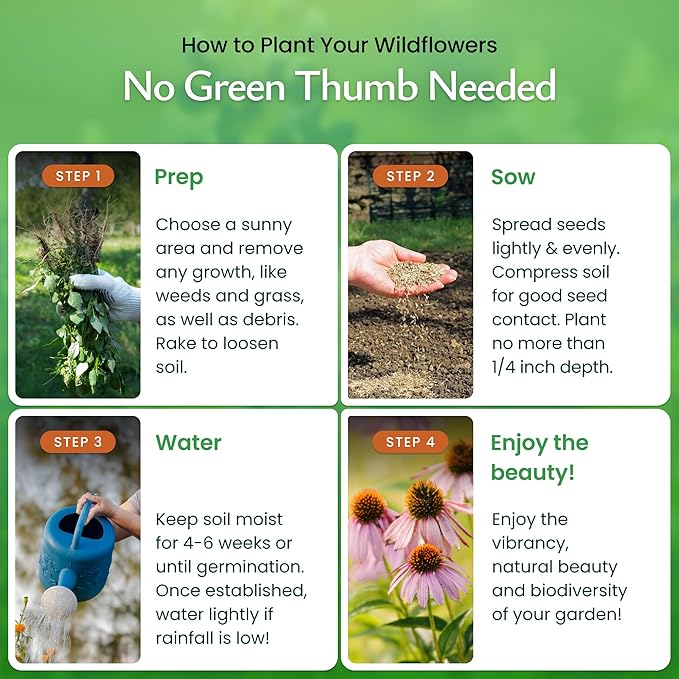 Created By Nature Maryland Wildflower Seed Mix, 15 Flower Varieties, 50,000 Seeds