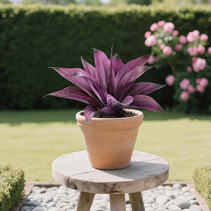 Artificial Flowers for Outdoors Artificial Agave Fake Plants Faux Agave Artificial Plants Outdoor Fake Flowers Outdoor Faux Plants Indoor Uv Resistant Artificial Plants 12In(Purple，2pcs)