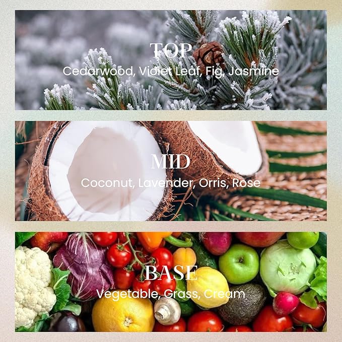 M&SENSE 6.3 oz Large Reed Diffuser Set | Under The Fig Scent Home Oil Diffuser with Sticks | Hotel Collection Non-Toxic Essential Oil |for Bedroom Bathroom Living Room