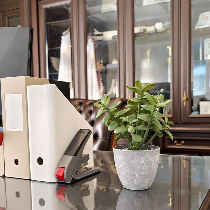 365 Blooming Decor Artificial Jade Plant 12 inch in Gray Pot for Home, Office Decor, Money Tree, Crassula ovata (Gray Pot, 12 inch)