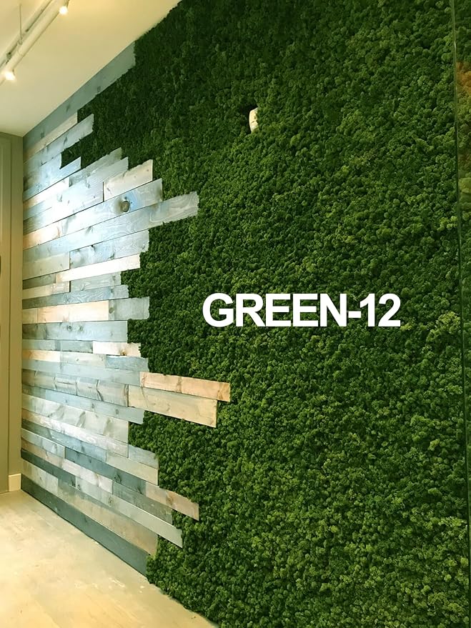 Preserved Reindeer Moss Natural Green DIY Kit Gardenning Art Wall Decor Florist Decor Easter Table Decor Wedding