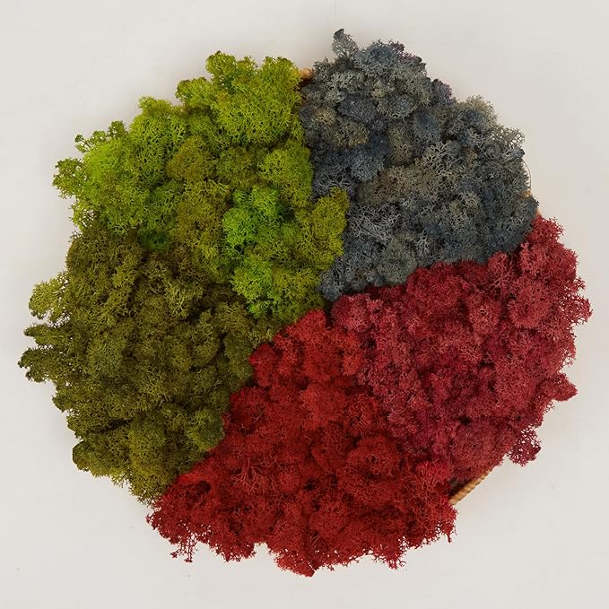 Preserved Reindeer Moss Natural Green DIY Kit Gardenning Art Wall Decor Florist Decor Easter Table Decor Wedding