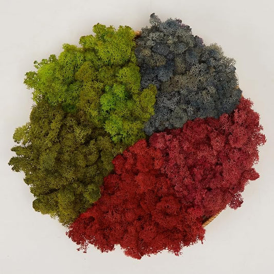 Preserved Reindeer Moss Natural Green DIY Kit Gardenning Art Wall Decor Florist Decor Easter Table Decor Wedding