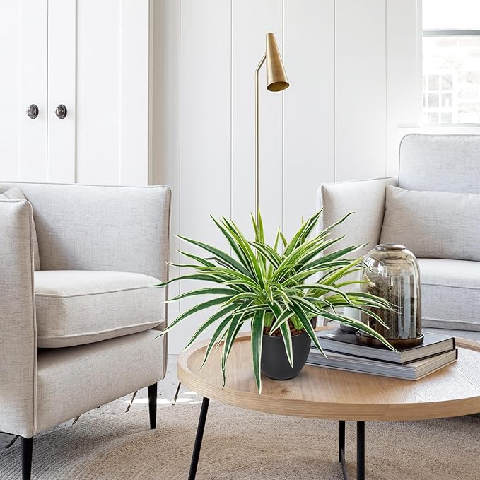 Fake Hanging Plant, Faux Spider Plant in Pot Artificial Grass Plants 12 Inch Faux Chlorophytum Comosum Potted Plants for Home Office Table Shelf Desk Kitchen Bathroom Bedroom Decor