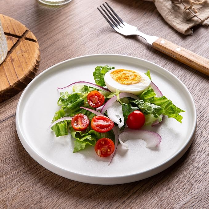 AmorArc Ceramic Dinner Salad Plates Set of 4, 8.5 Inch Reactive Matte Glaze Dish Set, Dessert, Salad, Appetizer, Small Dinner Plate, Microwave, Dishwasher Safe,Scratch Resistant,Matte White