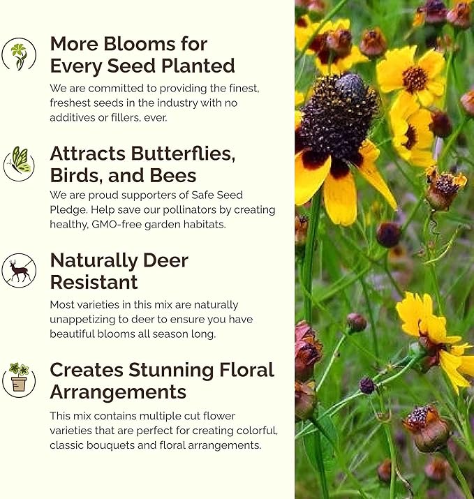 Eden Brothers Conehead Flower Mixed Seeds for Planting, 1/4 lb, 120,000+ Seeds with Prairie Coneflower, Mexican Hat | Attracts Pollinators, Plant in Spring or Fall, Zones 3, 4, 5, 6, 7, 8, 9, 10