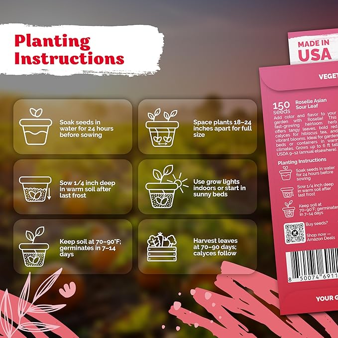 KVITER 150 Roselle Seeds for Planting (Hibiscus Sabdariffa) – Jamaican Sorrel/Cranberry Hibisco Seeds/Gongura Seed/Sour Leaf Seed – Perfect for Hibiscus Tea Organic, Outdoor & Indoor Garden