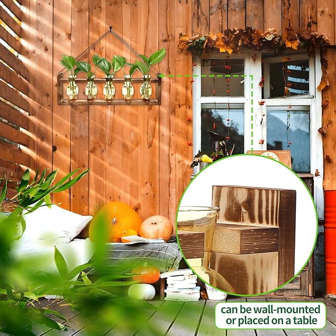 Plant Terrarium Propagation Stations Halloween Skull Planter Vase Skulls Decor with Wooden Stand Gife for Father - 5 Vases