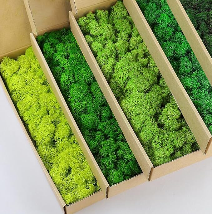 Preserved Reindeer Moss Natural Green DIY Kit Gardenning Art Wall Decor Florist Decor Easter Table Decor Wedding