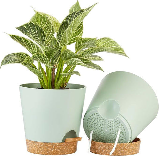 FaithLand 2-Pack 8 Inch Planter Pots for Indoor Outdoor Plants, Self Watering Flower Pots with Deep Reservoir, Green with Terracotta …