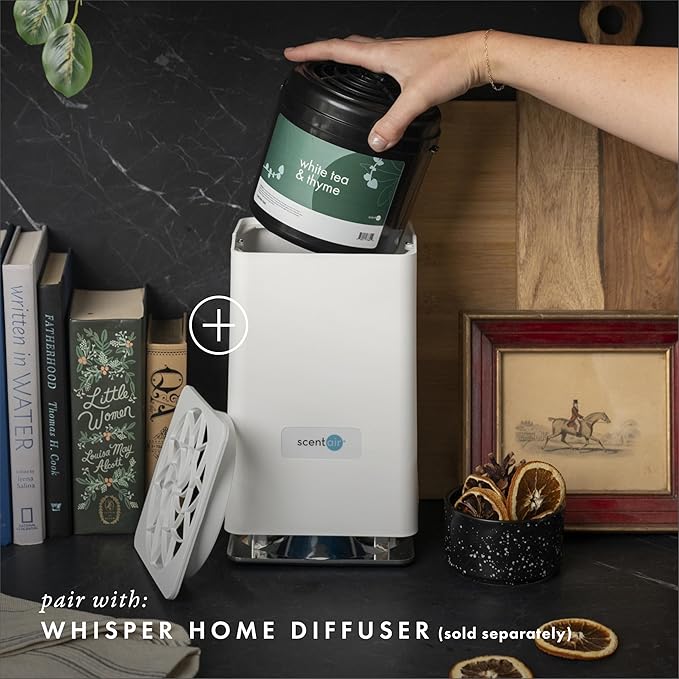 ScentAir Whisper Home Monthly Plug-in Refill, Fragrance Cartridge for Home and Office, White Tea & Thyme