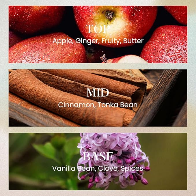 M&SENSE 6.11 oz Large Reed Diffuser Set | Cinnamon Vanilla Scent Oil Diffuser with Sticks | Hotel Collection Non-Toxic Essential Oil |for Bedroom Bathroom Living Room