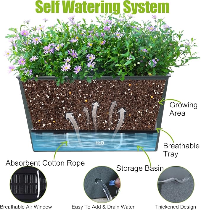 Window Box Planter 6 Pcs, 12.6 Inches Self Watering Rectangle Flower Plant Pots with Drainage Holes & Breathable Trays, Vegetable Planters for Windowsill Patio Garden Balcony Porch Yard (Dark Green)