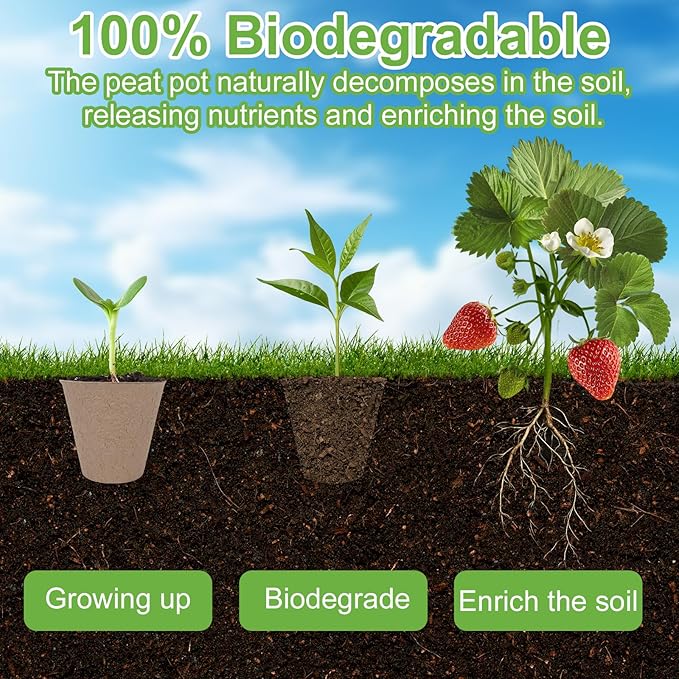 30 Packs Peat Pots, 3.1 Inch Seed Starting Pots Without Drainage Holes, Biodegradable Round Nursery Pot, Starting Seeds of Vegetables, Herbs, and Flowers
