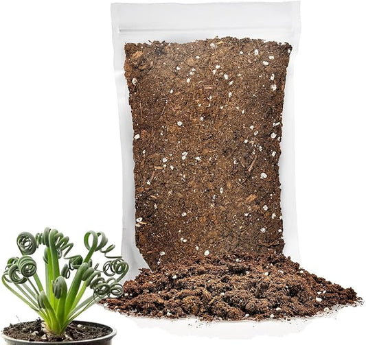 Premium Albuca Spiralis Potting Soil Mix - Perfect Balance of Nutrients, Drainage, and Aeration for Thriving Blooms - 1 Quart