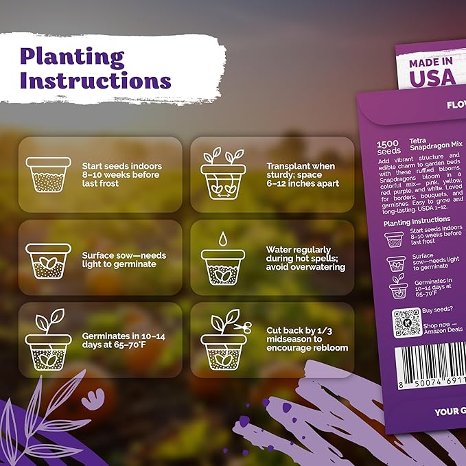 KVITER 1,500 Tetra Mix Snapdragon seeds (Antirrhinum Majus) – Heirloom & Organic Tall Snap Dragon Mix, Annual Flower Garden seeds, Cut Flower Seeds for Planting – Ideal for Outdoor Garden & Containers