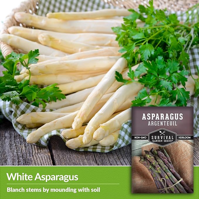 3 Packs Argenteuil Purple Asparagus Seeds for Planting with Instructions to Grow Gourmet French Asparagus in Your Home Vegetable Garden - Non-GMO Heirloom - Survival Garden Seeds