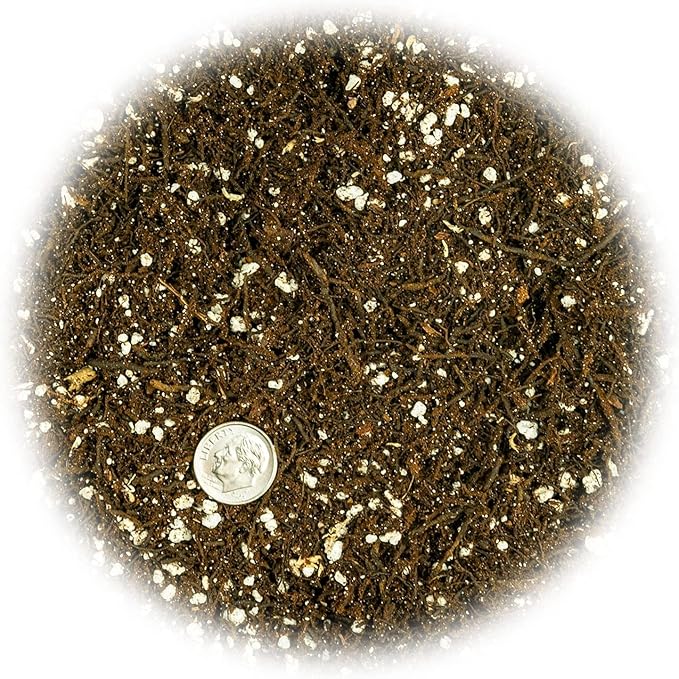 Fern + Perlite Soil Mix - 10 Quart - for Repotting and Planting Succulents and Cactuses (4 Bags of 5 Quart)