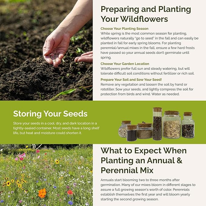 Eden Brothers Partial Shade Wildflower Mixed Seeds for Planting, 5 lb, 2,400,000+ Seeds with Sweet William, Foxglove | Attracts Pollinators, Plant in Spring or Fall, Zones 3, 4, 5, 6, 7, 8, 9, 10