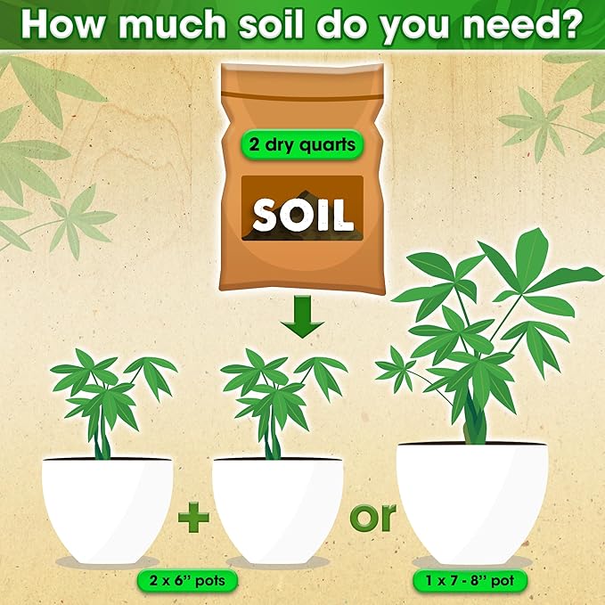 DUSPRO Recycle Money Tree Soil Indoor, Premium Coco Coir Perlite Mix and Pine Bark for Money Tree, Ideal Money Tree Soil for Healthy Growth and Nourishment (2 Quarts)