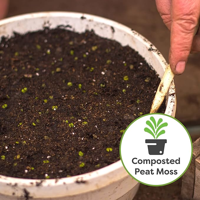 Perfect Plants Organic Seed Starter Soil Mix 4qt. | Contains Worm Castings and Mycorrhizae | Balanced Seed Sprouting Medium