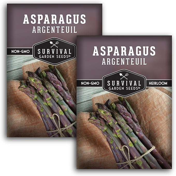 2 Packs Argenteuil Purple Asparagus Seeds for Planting with Instructions to Grow Gourmet French Asparagus in Your Home Vegetable Garden - Non-GMO Heirloom - Survival Garden Seeds
