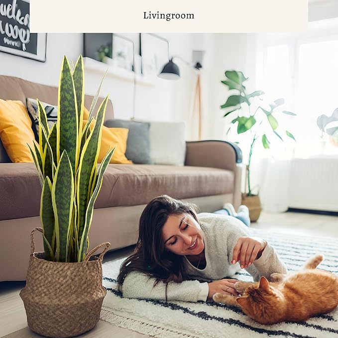 KOL 25.6’’ 2-Pack Artificial Snake Plant, Mother in Law Tongue Plants, 2ft Fake Sansevieria Indoor, 32 Realistic Leaves in Pot, Home Office Hotel Garden Corner Decor, Yellow