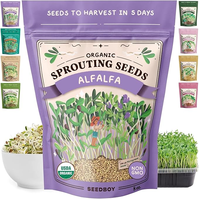 Seedboy Organic Alfalfa Seeds for Sprouting - Non-GMO, USDA Organic Microgreens Sprouting Seeds Mix - Makes 8 Quarts of Sprouts, 24 Servings (8 oz) (Alfalfa)