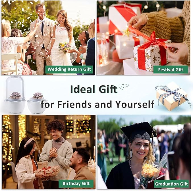 Smart Venus Fly Trap Terrarium Pot with Timer&Fan, Carnivorous Plant Pot with Grow Light, Plant Terrarium Kit for Butterwort, Christmas Birthday Gifts for Women Garden Lover (No Plant)