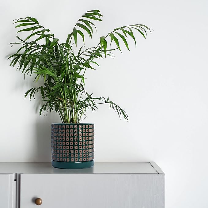 D'vine Dev Set of 2 Ceramic Planter Pots with Drainage Hole and Saucer, 4.5 Inch 6 Inch Plant Pots for Plants Indoor Houseplants, Green, 99-A-4