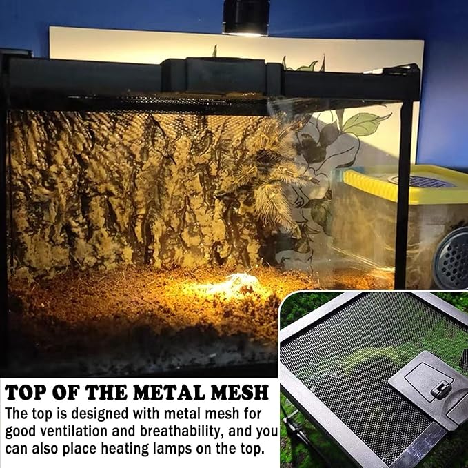 BNOSDM Reptile Tank,8" x 8" x 6" Mini Reptiles Terrarium,Full View Young Lizard Glass Tank,Small Amphibians Habitat Enclosure Cage for Tarantula,Frog,Hermit Crab,Isopods,Insects Breeding Box