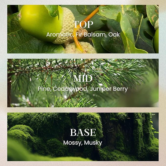 M&SENSE 6.9 oz Large Reed Diffuser Set | Evergreen Pine Scent Oil Diffuser with Sticks | Hotel Collection Non-Toxic Essential Oil |for Bedroom Bathroom Living Room