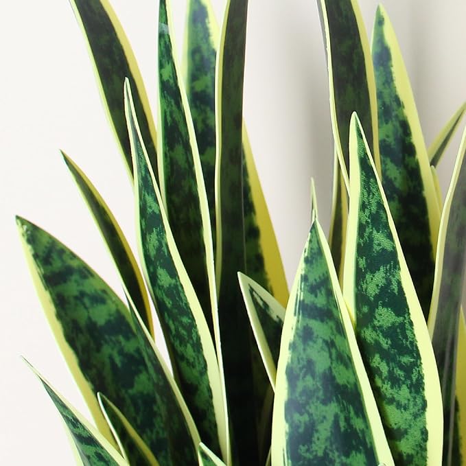 KOL 2ft Artificial Snake Plant, 32 Lifelike Faux PVC Leaves, Indoor Home Garden Decor, Fake Sansevieria Potted Plants, Mother-in-Law Tongue, 25.6in Floor Greenery in Black Pot
