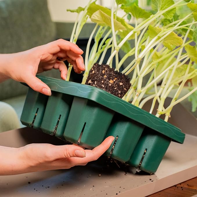 Vego garden Giga Seedling Trays - 16 Pack, 9-Cell UV-Resistant Reusable Starter Trays for Greenhouse/Garden (No Lids)
