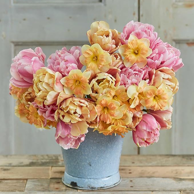 Eden Brothers Tulip & Daffodil Promenade Mix