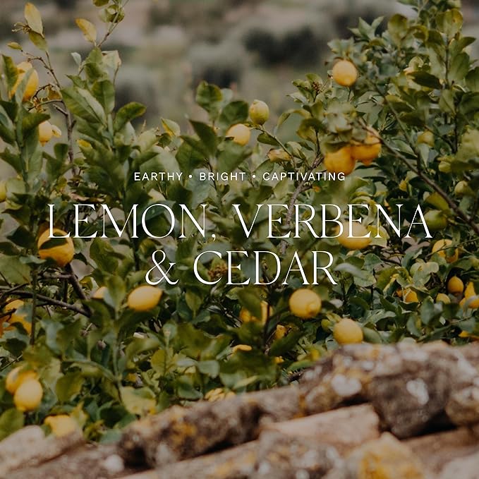 Antica Farmacista Home Ambiance Diffuser,Verbena and Cedar,16.9 Fl Oz