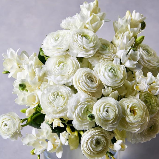 Eden Brothers Ranunculus & Freesia Bulbs - White Mix