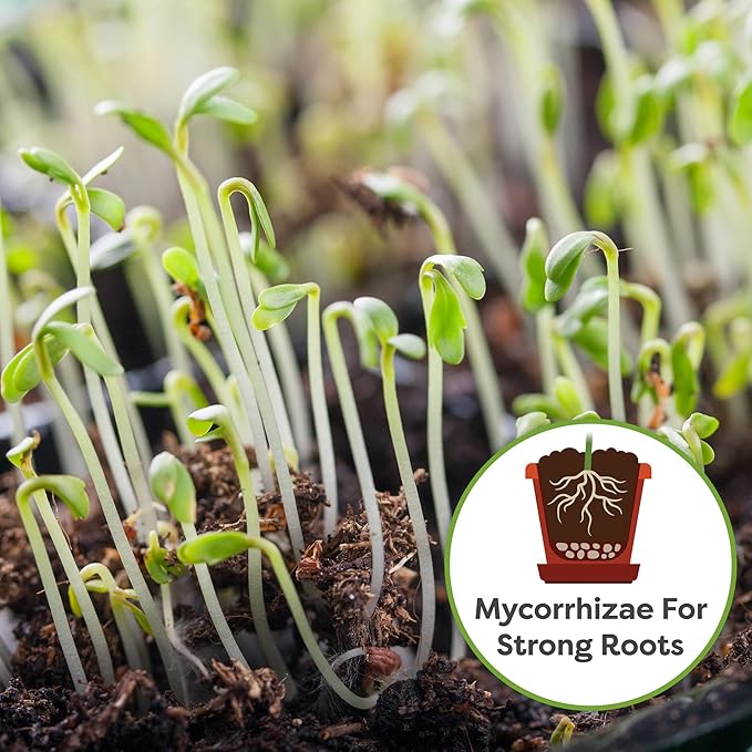 Perfect Plants Organic Seed Starter Soil Mix 8qts. | Germinate Seeds at Home | Sustainable Gardening Substrate