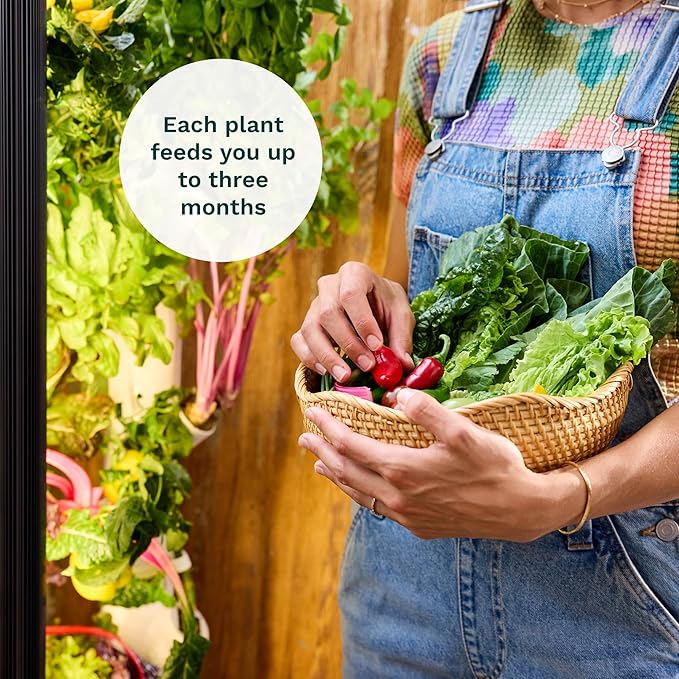 Gardyn Studio Vertical Hydroponics Growing System Kit - 16 Non-GMO Plants, Herbs, Vegetables - Tower Garden - Hydroponic Herb Garden Planter Indoor Kit - Indoor Gardening System with LED Grow Lights