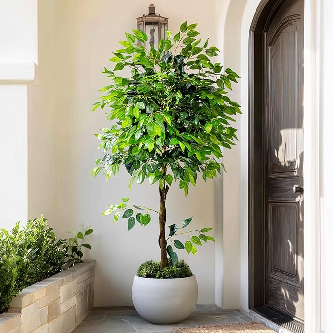 6ft Artificial Ficus Tree for Home Decor, Faux Silk Plants Faux Plant Fake Silk Trees with Pot for Indoor House Living Room Office Garden