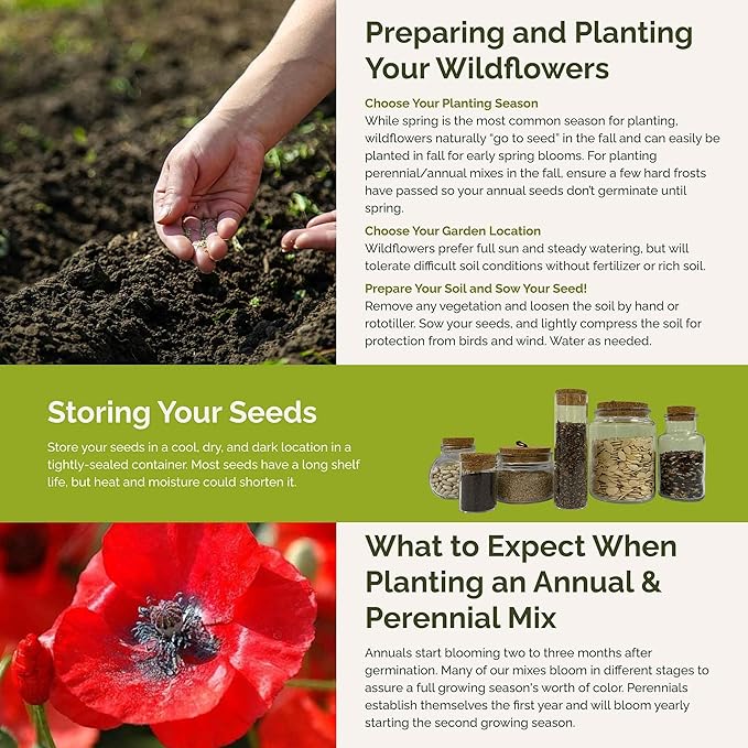 Eden Brothers Flowery Fields Forever Flower Mixed Seeds for Planting, 5 lb, 2,400,000+ Seeds with Cornflower, Candytuft | Attracts Pollinators, Plant in Spring or Fall, Zones 3, 4, 5, 6, 7, 8, 9, 10