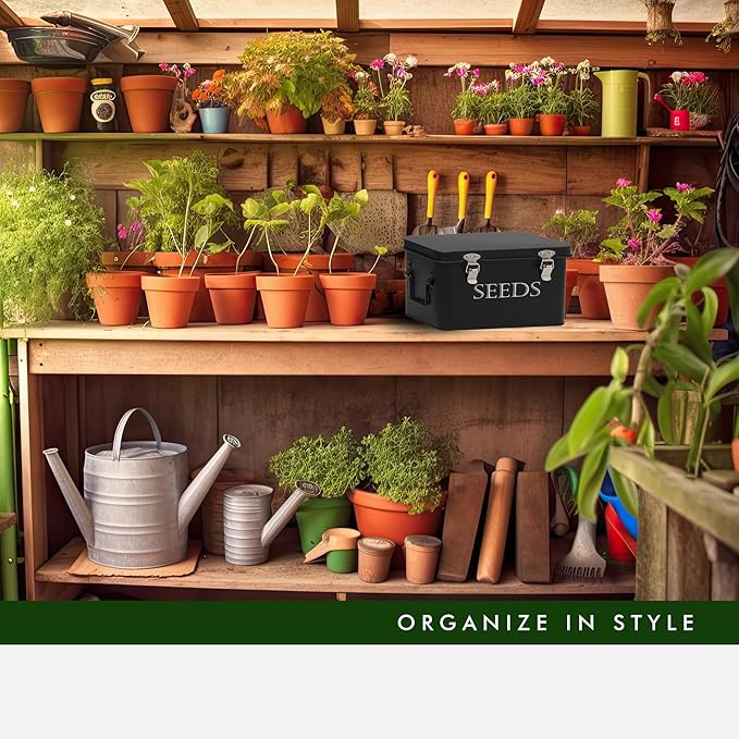 Garden Seed Storage Box with Dividers Seeds Packet Organizer Case for Gardening 3 Inner Slot Bird Plant or Vegetable Seed Container Saver Tin – Black Galvanized Metal with Envelopes & Labels