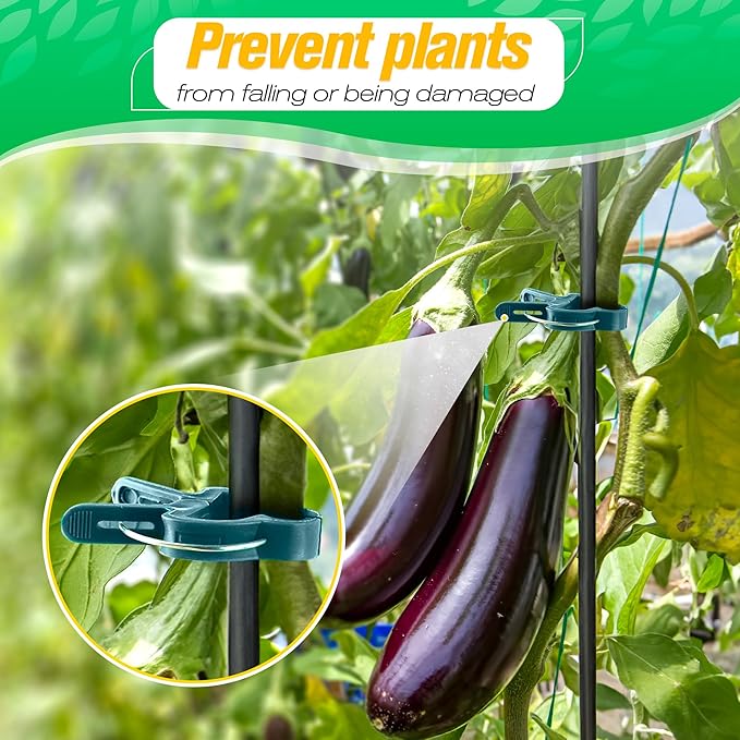 Tomato Clips for Garden - 60 Pcs 2 Sizes Plastic Tomato Plant Clips for Support & Upright Growth, Reusable & Adjustable, Gentle & Reliable Fixation, Easy to Use - for Stems, Flowers, Vines, Vegetables