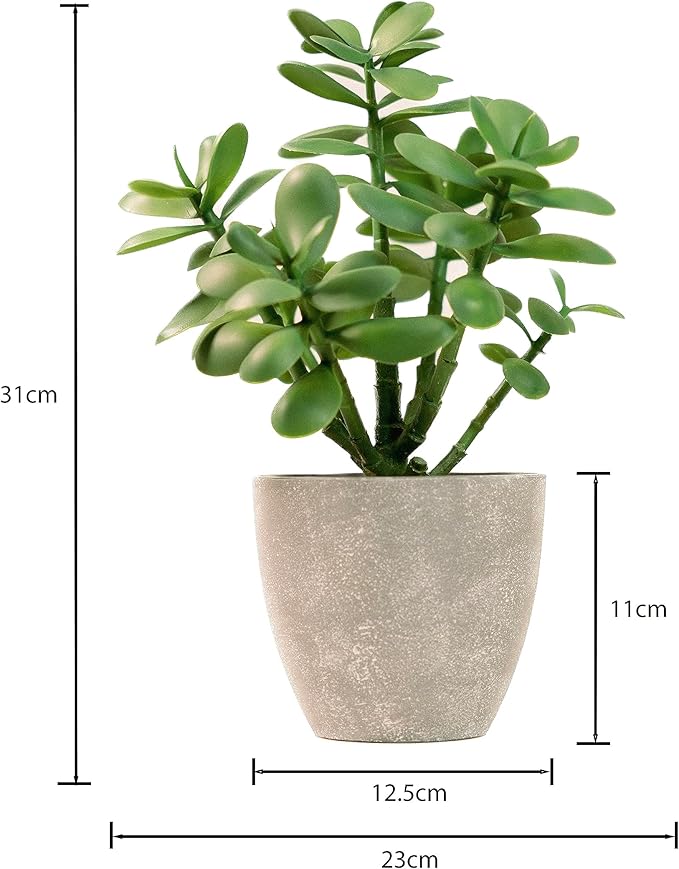 365 Blooming Decor Artificial Jade Plant 12 inch in Gray Pot for Home, Office Decor, Money Tree, Crassula ovata (Gray Pot, 12 inch)