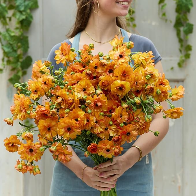 Eden Brothers Butterfly Ranunculus Bulbs - Phosphorus®