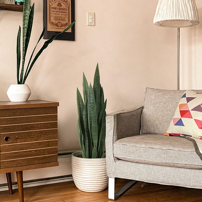 Worth Garden 3ft Artificial Snake Plant Fake Sansevieria Indoor Outdoor, 28 Thick Leaves Lifelike Faux Silk Plant, Home Decor Mother in Law Tongue Plant 35in, with Black pot & Dry Moss Included, Green