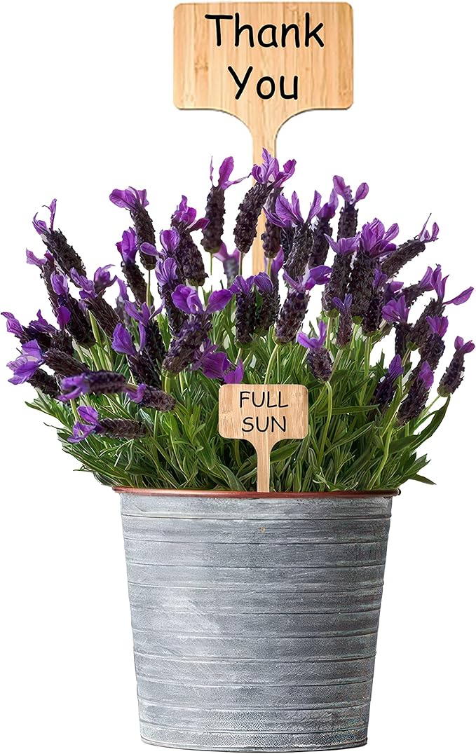 100 Pcs Large 8" Tall Garden Label Plant Signs Eco-Friendly Compostable to Easily Identify Plants, Seeds, Bulbs, Flowers, Vegetables